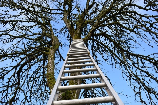 Free download Wallpaper Ladder Climb -  free photo or picture to be edited with GIMP online image editor