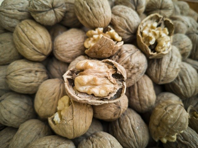 Free download Walnut Dried Fruits And Nuts Shell -  free photo or picture to be edited with GIMP online image editor