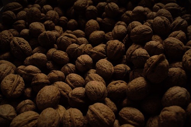 Free download Walnut Nuts Walnuts -  free photo or picture to be edited with GIMP online image editor