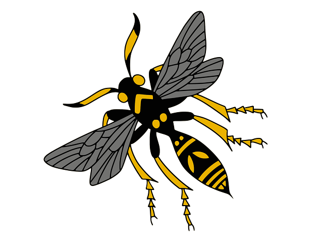 Free download Wasp Cartoon Yellow - Free vector graphic on Pixabay free illustration to be edited with GIMP free online image editor