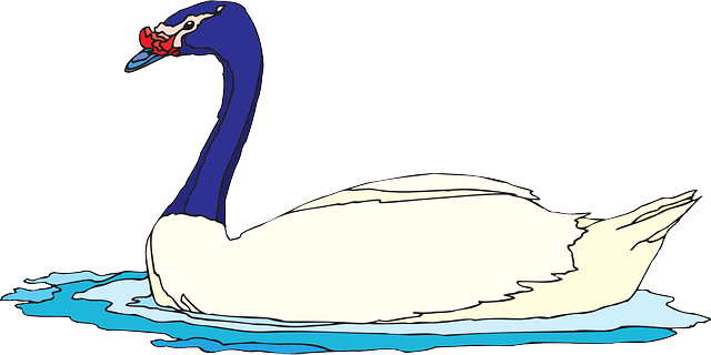 Free download Water Bird Swimming - Free vector graphic on Pixabay free illustration to be edited with GIMP free online image editor