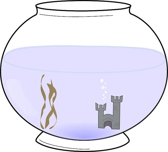 Free download Water Bowl Castle - Free vector graphic on Pixabay free illustration to be edited with GIMP free online image editor