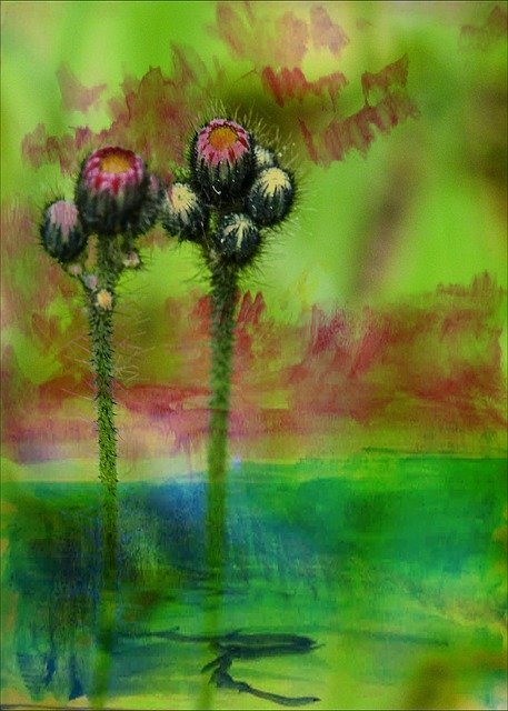 Free download Water Colored Painting Buds Wild -  free illustration to be edited with GIMP free online image editor