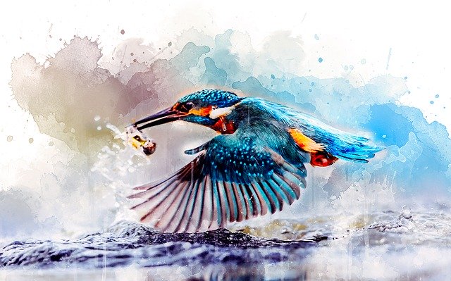 Free download Watercolor Kingfisher Bird -  free illustration to be edited with GIMP free online image editor