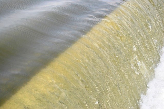 Free download water dam nature beauty animal free picture to be edited with GIMP free online image editor