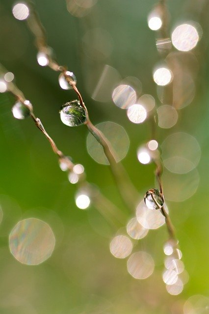 Free download Water Drop Bokeh -  free photo or picture to be edited with GIMP online image editor