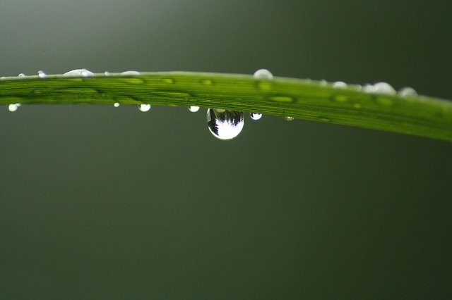 Free download Waterdrop Finland Nature -  free photo or picture to be edited with GIMP online image editor