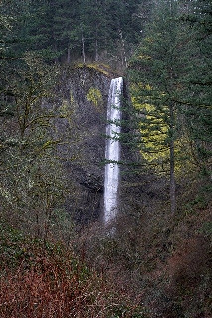 Free download Waterfall Oregon Nature -  free photo or picture to be edited with GIMP online image editor