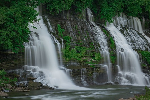 Free download waterfall river forest tree flow free picture to be edited with GIMP free online image editor