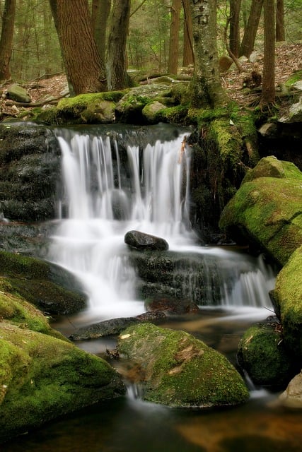 Free download waterfall rocks moss water running free picture to be edited with GIMP free online image editor