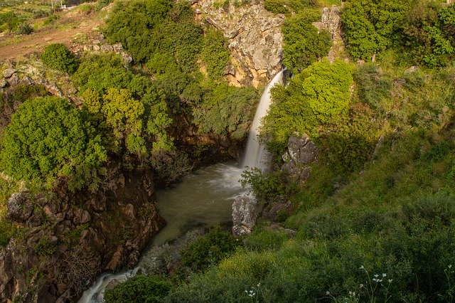 Free download Waterfalls Trees Nature -  free photo or picture to be edited with GIMP online image editor