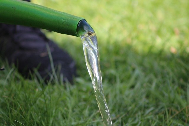 Free download Watering Can Water Gardening -  free photo or picture to be edited with GIMP online image editor