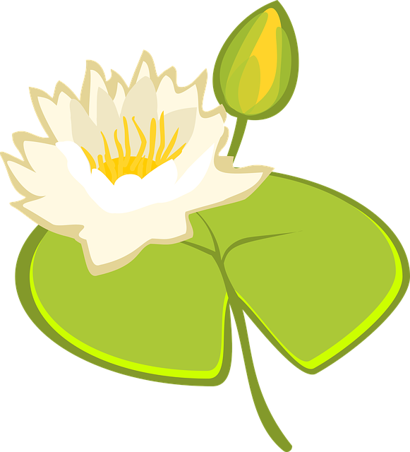 Free download Water Lily Lake - Free vector graphic on Pixabay free illustration to be edited with GIMP free online image editor