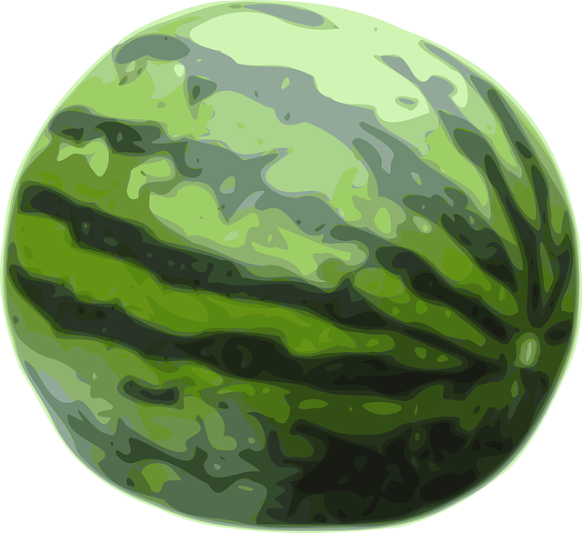 Free download Watermelon Fruit Green - Free vector graphic on Pixabay free illustration to be edited with GIMP free online image editor