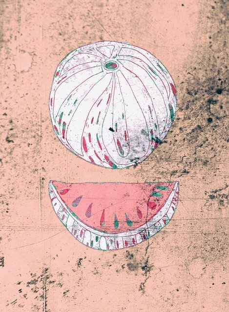 Free download Watermelon Fruit Pink -  free illustration to be edited with GIMP free online image editor