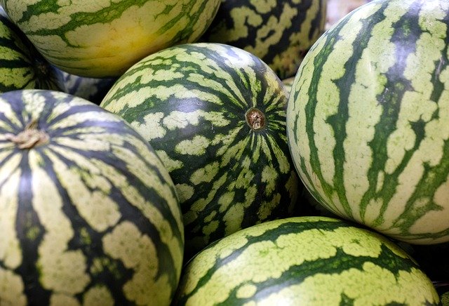 Free download Water Melons Melon Fruit -  free photo or picture to be edited with GIMP online image editor