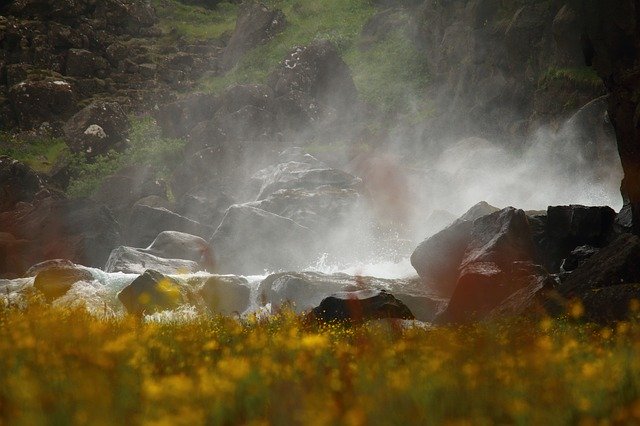 Free download Water Mist Waterfall Flower Meadow -  free photo or picture to be edited with GIMP online image editor