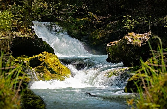 Free download water mountain stream roaring free picture to be edited with GIMP free online image editor