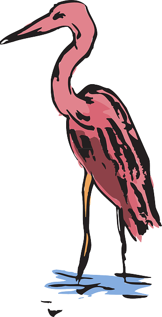 Free download Water Pink Wings - Free vector graphic on Pixabay free illustration to be edited with GIMP free online image editor