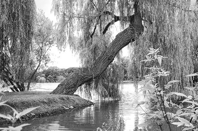 Free download Waters Landscape Black And White -  free photo or picture to be edited with GIMP online image editor