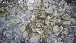 Free download Water Stone Autumn -  free video to be edited with OpenShot online video editor