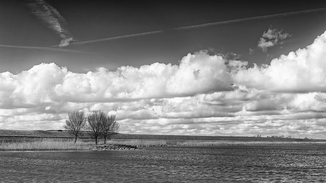 Free download water trees clouds ijsselmeer free picture to be edited with GIMP free online image editor