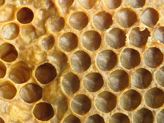 Free download Wax Honeycomb Bee Radius -  free photo or picture to be edited with GIMP online image editor