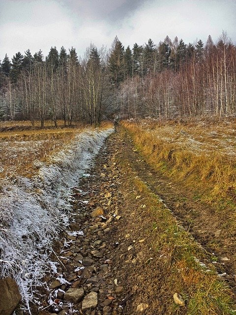 Free download Way Autumn Landscape Ground -  free photo or picture to be edited with GIMP online image editor