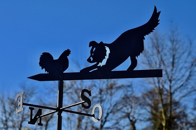 Free download Weather Vane Forged Metal -  free photo or picture to be edited with GIMP online image editor