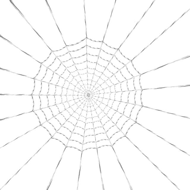 Free download Web Spider Woven -  free illustration to be edited with GIMP free online image editor