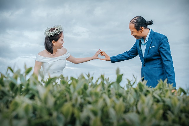 Téléchargement gratuit photo de mariage colline paysage de thé image gratuite à éditer avec l'éditeur d'images en ligne gratuit GIMP