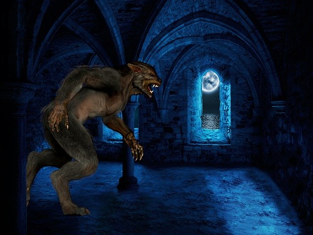 ดาวน์โหลดฟรี Werewolf Luna Castle - ภาพประกอบฟรีที่จะแก้ไขด้วย GIMP โปรแกรมแก้ไขรูปภาพออนไลน์ฟรี