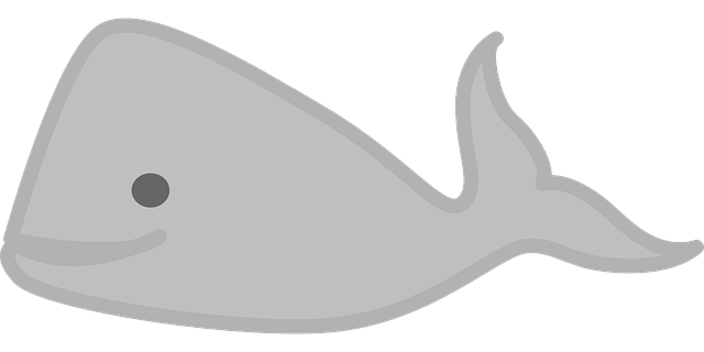 Free download Whale Sea Animal - Free vector graphic on Pixabay free illustration to be edited with GIMP free online image editor