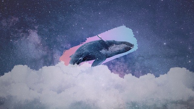 Free download Whale The Universe Cloud free illustration to be edited with GIMP online image editor