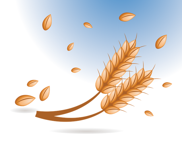 Free download Wheat Bread Granules - Free vector graphic on Pixabay free illustration to be edited with GIMP free online image editor