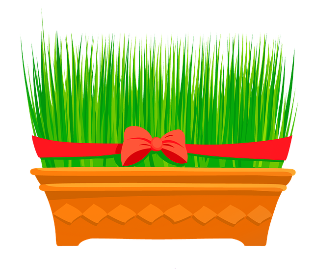 Free download Wheat Grass Flower Season -  free illustration to be edited with GIMP free online image editor