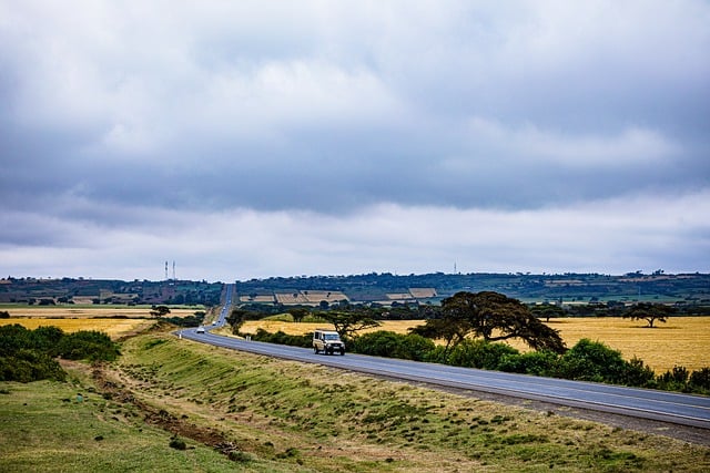 Free download wheat great rift valley escarpement free picture to be edited with GIMP free online image editor