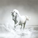 White Horse By RB Themes 1366X768  screen for extension Chrome web store in OffiDocs Chromium