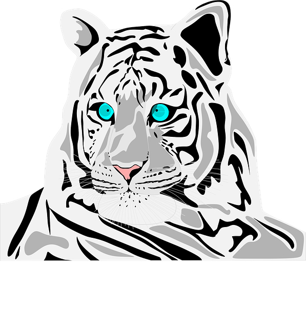 הורדה חינם של White Tiger - גרפיקה וקטורית בחינם ב-Pixabay איור חינם לעריכה עם עורך תמונות מקוון בחינם של GIMP