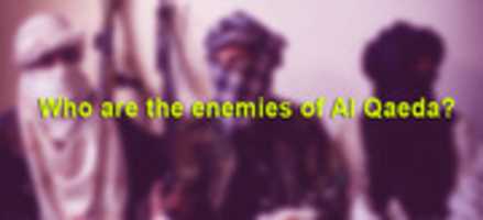 Free download Who Are The Enemies Of Al Qaeda? free photo or picture to be edited with GIMP online image editor