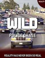 Free download WILD CHASE SERIES free photo or picture to be edited with GIMP online image editor