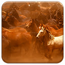 Wild Horses  screen for extension Chrome web store in OffiDocs Chromium