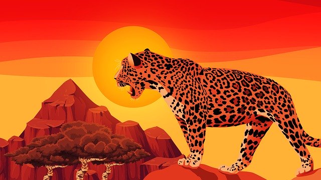 Free download Wildlife Jaguar Predator -  free illustration to be edited with GIMP free online image editor