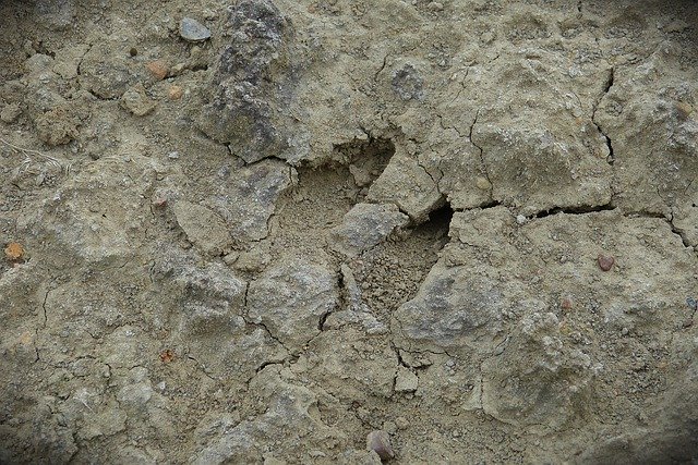 ດາວ​ໂຫຼດ​ຟຣີ Wild Track Roe Deer Animal Tracks - ຮູບ​ພາບ​ຟຣີ​ຫຼື​ຮູບ​ພາບ​ທີ່​ຈະ​ໄດ້​ຮັບ​ການ​ແກ້​ໄຂ​ກັບ GIMP ອອນ​ໄລ​ນ​໌​ບັນ​ນາ​ທິ​ການ​ຮູບ​ພາບ