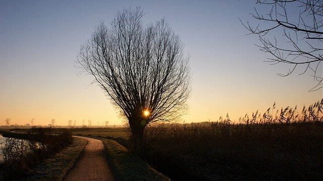 Free download Willow Sunrise Winter -  free photo or picture to be edited with GIMP online image editor