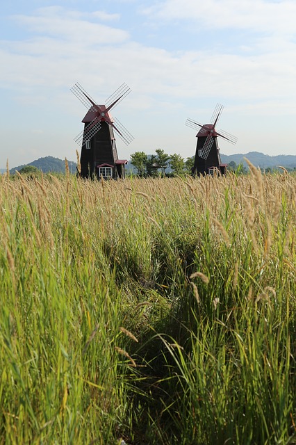 Free download windmill nature landscape free picture to be edited with GIMP free online image editor