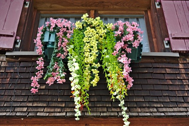 Free download Window Floral Decorations Shutters -  free photo or picture to be edited with GIMP online image editor