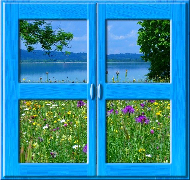 Free download Window Nature Flowers -  free illustration to be edited with GIMP free online image editor