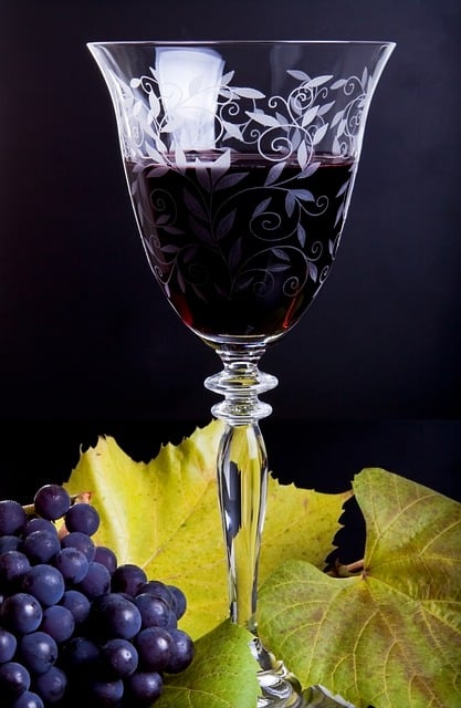 Free download wine glass retro grapes old style free picture to be edited with GIMP free online image editor