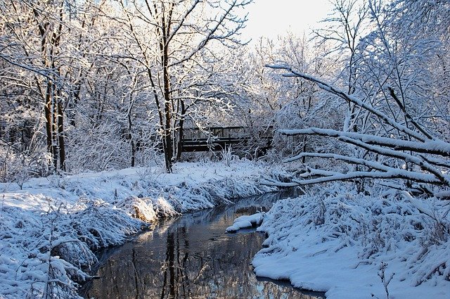 Free download Winter Bridge Water -  free photo or picture to be edited with GIMP online image editor